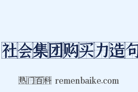 社会集团购买力造句是什么意思的图片